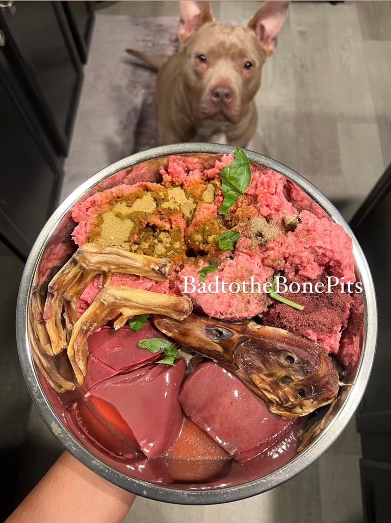 Raw Meal Ideas for Pit Bulls