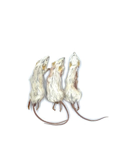 Dehydrated Whole Prey Mice - Whole Prey Diet, Whole Prey Feeding